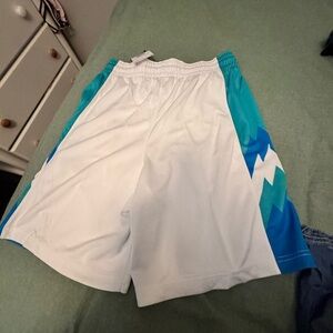 Jordan White and Teal Men's Shorts